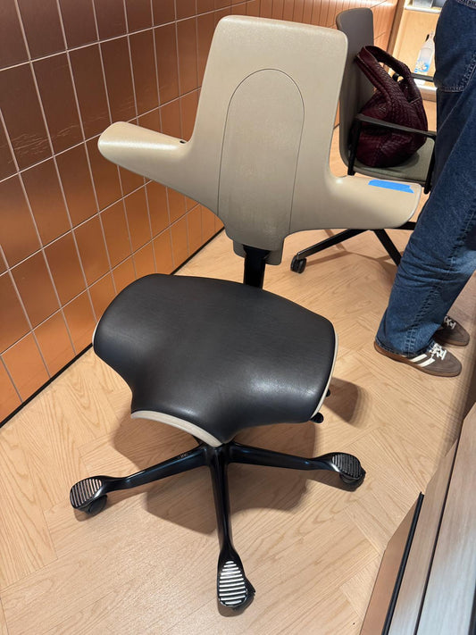 001-ZSS25037-2 chairs