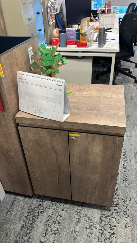 ZSS26011-Item #005-Wooden moible cabinet