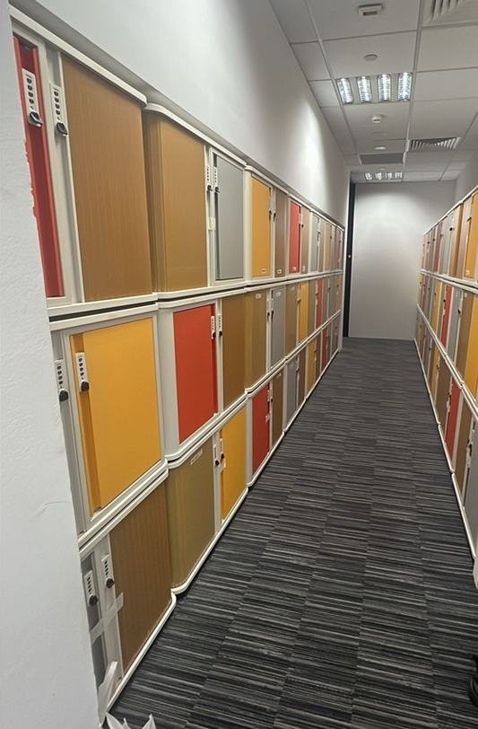 ZSS25033 - Lockers (Colorful)