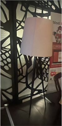 080-ZSS26002-Standing Lamp