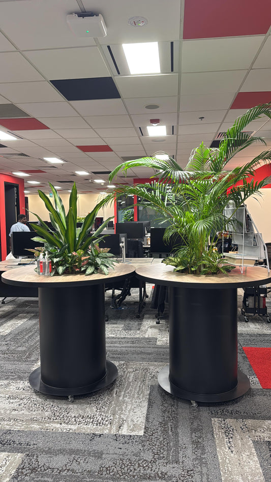 003-ZSS25036-Movable Planter Column Box with wheels (W1200 * D1200 * H1060)